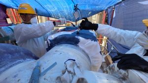 Application of Belzona 7311 on breather membrane.
