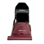 MPV 31