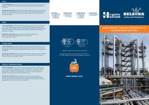 Asset Integrity for Petrochem