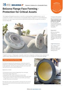 Belzona Flange Face Forming
